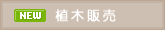 植木・庭木販売