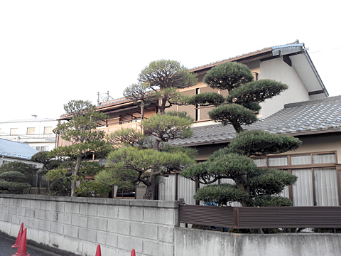 すかし方が一緒よりよりすかしを変えることで全体のバランスがよいように切り揃えてみました。