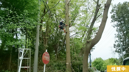 作業中 高所なので慎重に上ります。