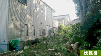 埼玉県狭山市 G邸 雑木林の一部分伐採 施工後