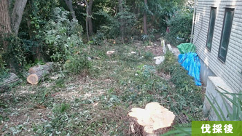 埼玉県狭山市 G邸 雑木林の一部分伐採 別角度 施工後