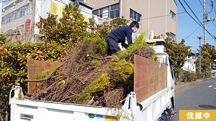 作業終了、3トン車に満載で5往復の枝葉がでました。