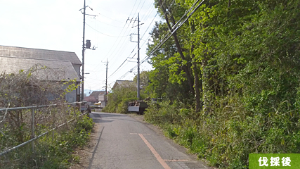 こういった場所は、樹木により薄暗く不法投棄もあり防犯上よくないです。
