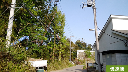 すっかり伐って「明るくなってよかった」と住民の方からも喜びの声も。