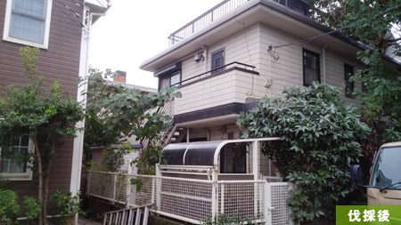 伐採後、ゆっくり慎重に無駄のない動きが早く安全な作業に繋がります。