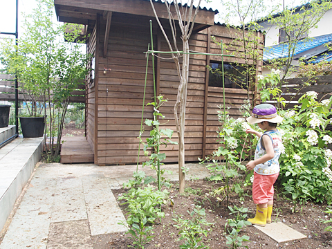 周りに雑木林っぽくしてナチュラルな庭になりました。山小屋風です。