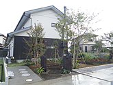 お庭、埼玉県坂戸市の施工例、玄関までのアプローチに敷いた樹木、雑木と飛び石の庭