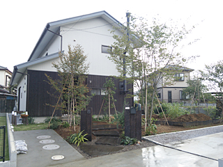 埼玉県坂戸市H邸 「雑木と飛び石の庭」施工後