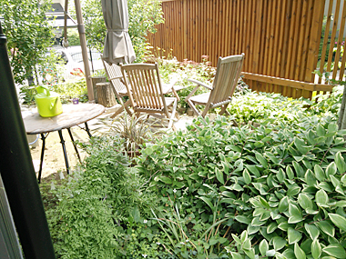 埼玉県坂戸市K邸 「自然石庭」施工前　植木を剪定してから、不要な下草を刈り取りをします。