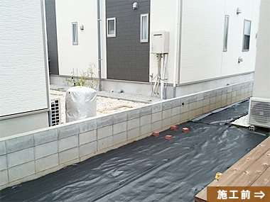 ケヤキ 剪定例