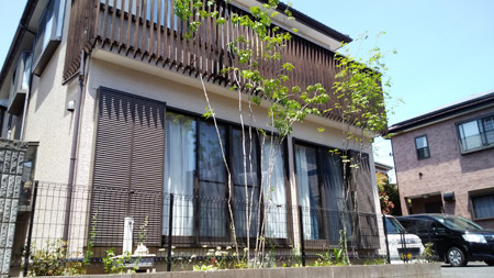 飯能市 K邸 アオダモの庭　植栽後　植木は自然形のアオダモ２本です。
