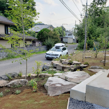 数年後 植物の成長が楽しみな庭になりました。