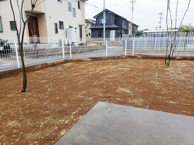 アオダモとジューンベリーだけ植栽して他は芝生。
