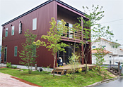 木を沢山　植える庭
