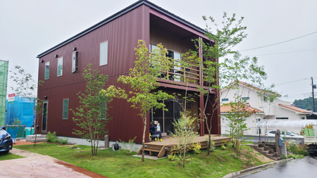 木を沢山植える庭です。お客様のご要望でもあり、私好みでもある。