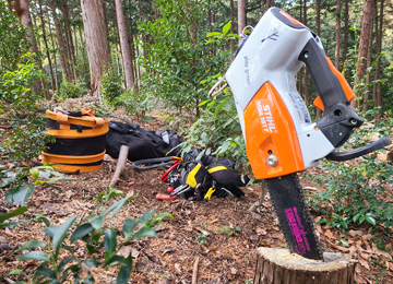 登山者にはツリークライミング業者に見えていたかな？？