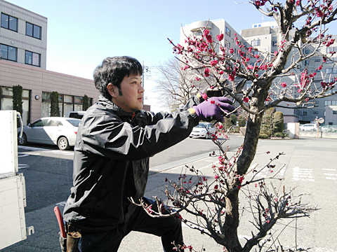 小さいころから自然が好きで始めた庭仕事、色々な園芸の資格を持ち日々庭つくりをしております。